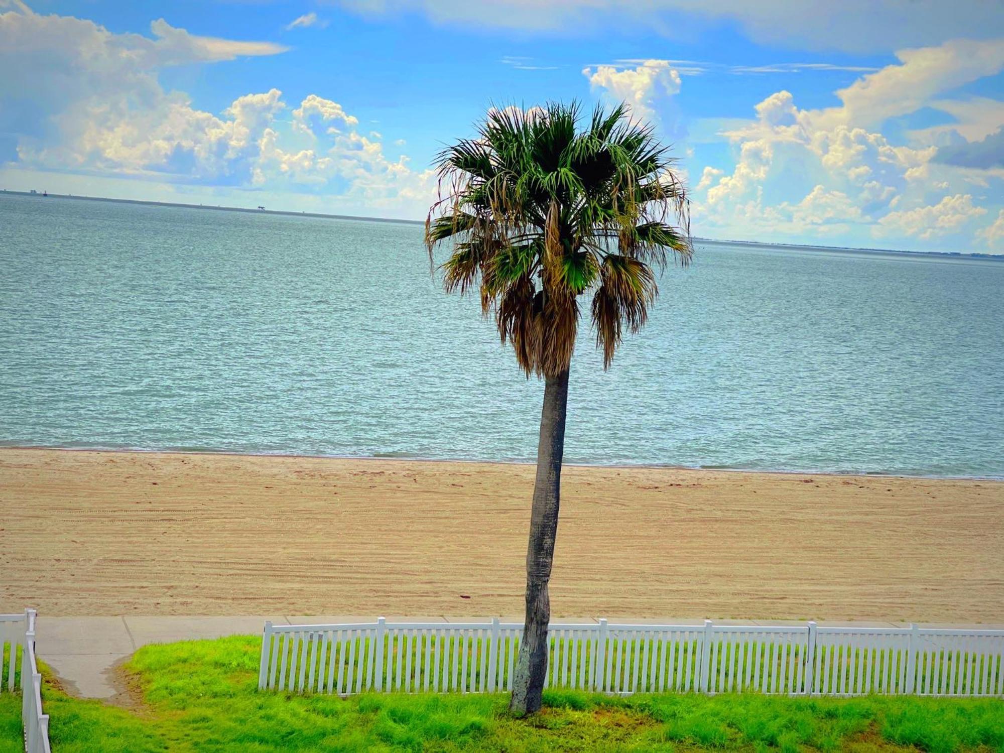 Sea Shell Inn On The Beach Κόρπους Κρίστι Εξωτερικό φωτογραφία